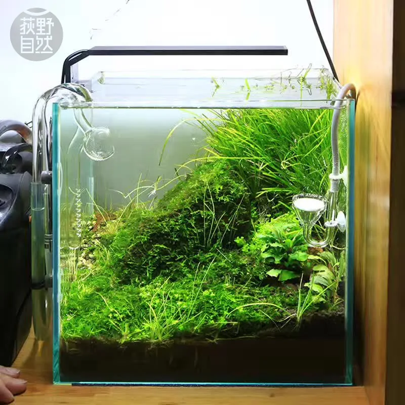 Aquarium Plant Growth - Spirituosen C-Serie ADA-Stil Pflanze wachsen LED-Licht