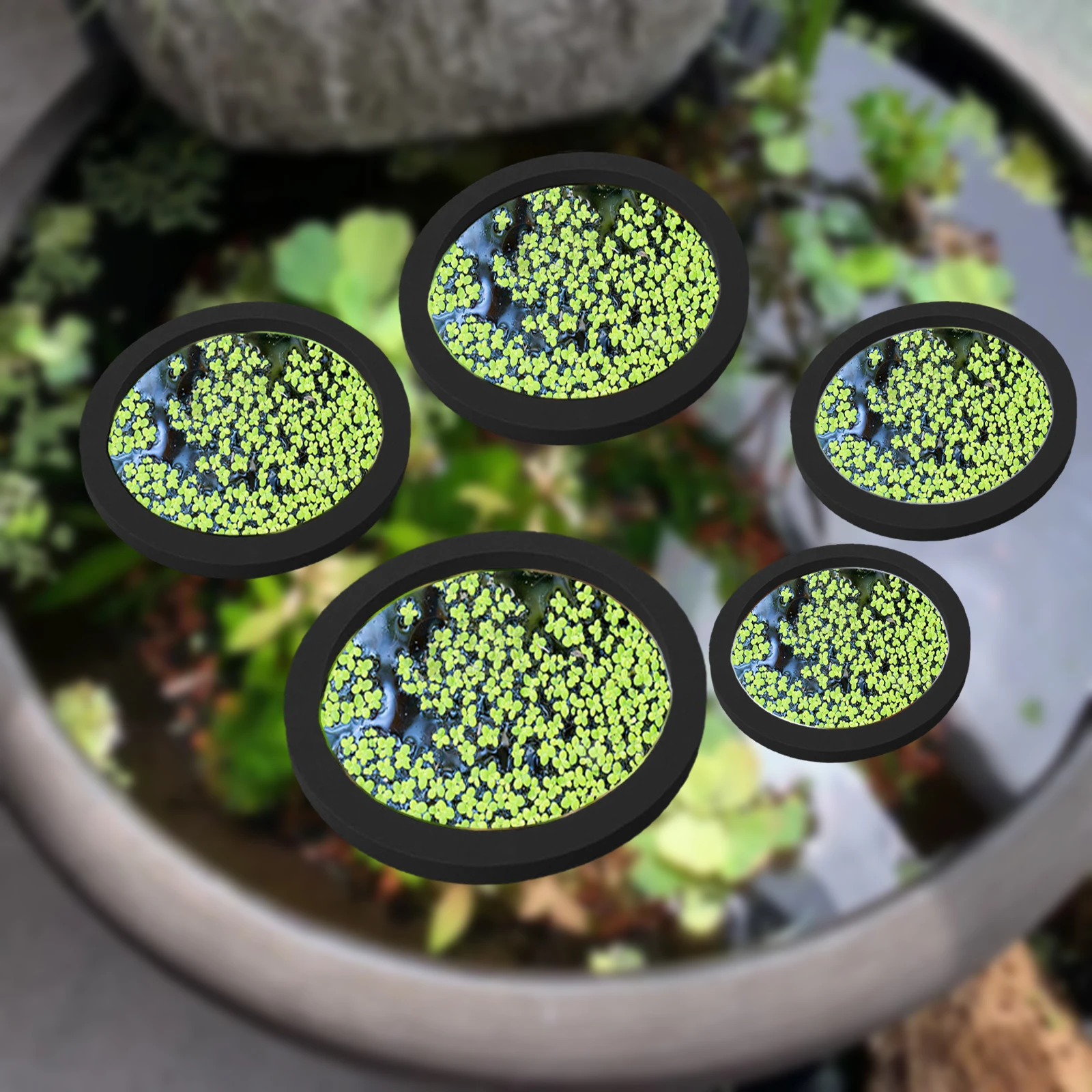 Aquarium For Planted Tank - 5Pcs EVA Fisch Fütterung Ring Aquarium