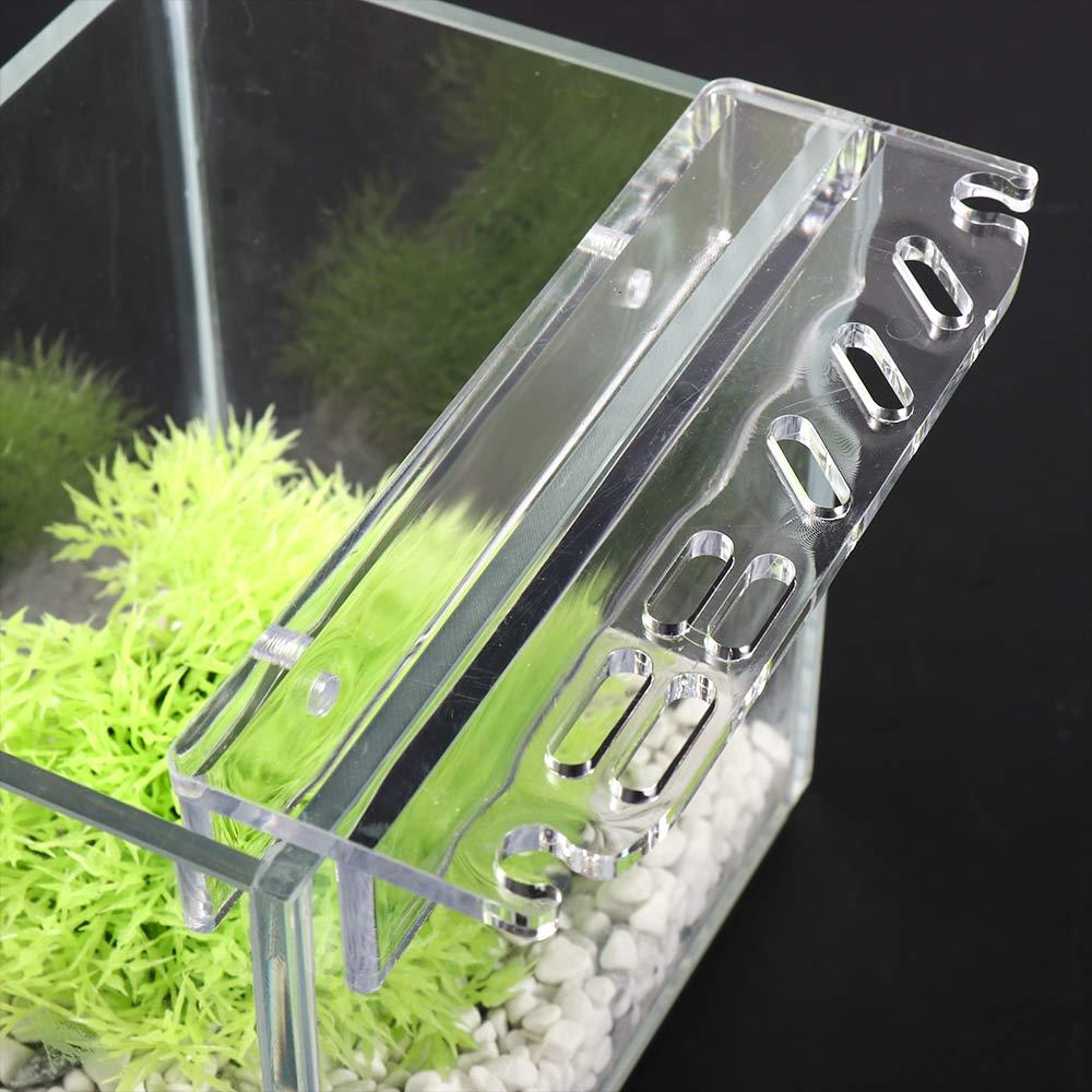 Planted Aquarium Cleaning - Reinigungswerkzeug-Zubehör Aufbewahrungsregal Aquarium-Werkzeughalter Aquarium-Pflanzenwerkzeughalter Graspflege-Werkzeug