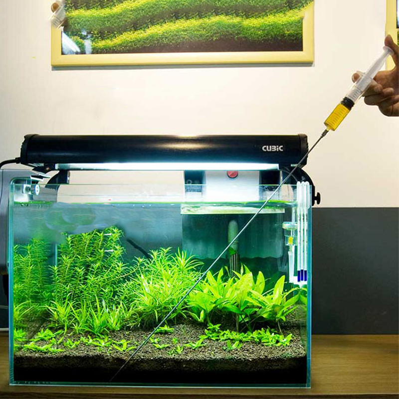 Aquarium Plant Growth - 30 cm 50 cm Aquarium Pflanzen
