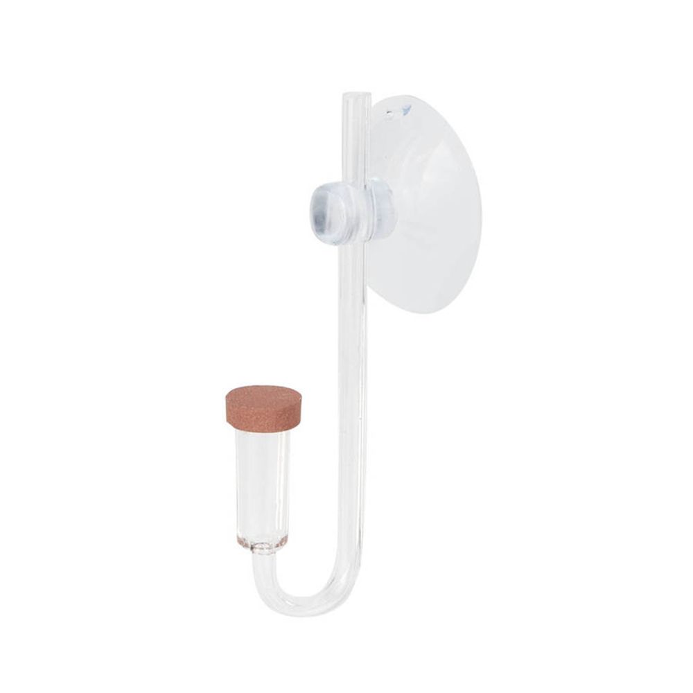 Planted Aquarium Parameters - Acryl Mini Aquarium Live Pflanze U
