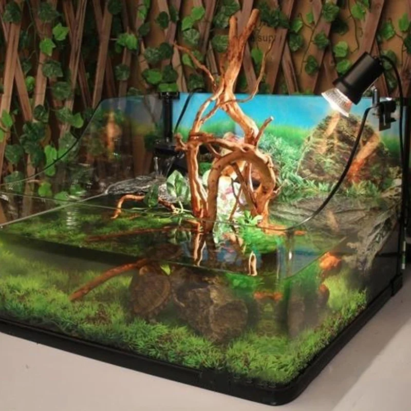 Planted Aquarium Making - Natürliche Baum Stamm Treibholz Aquarium Aquarium