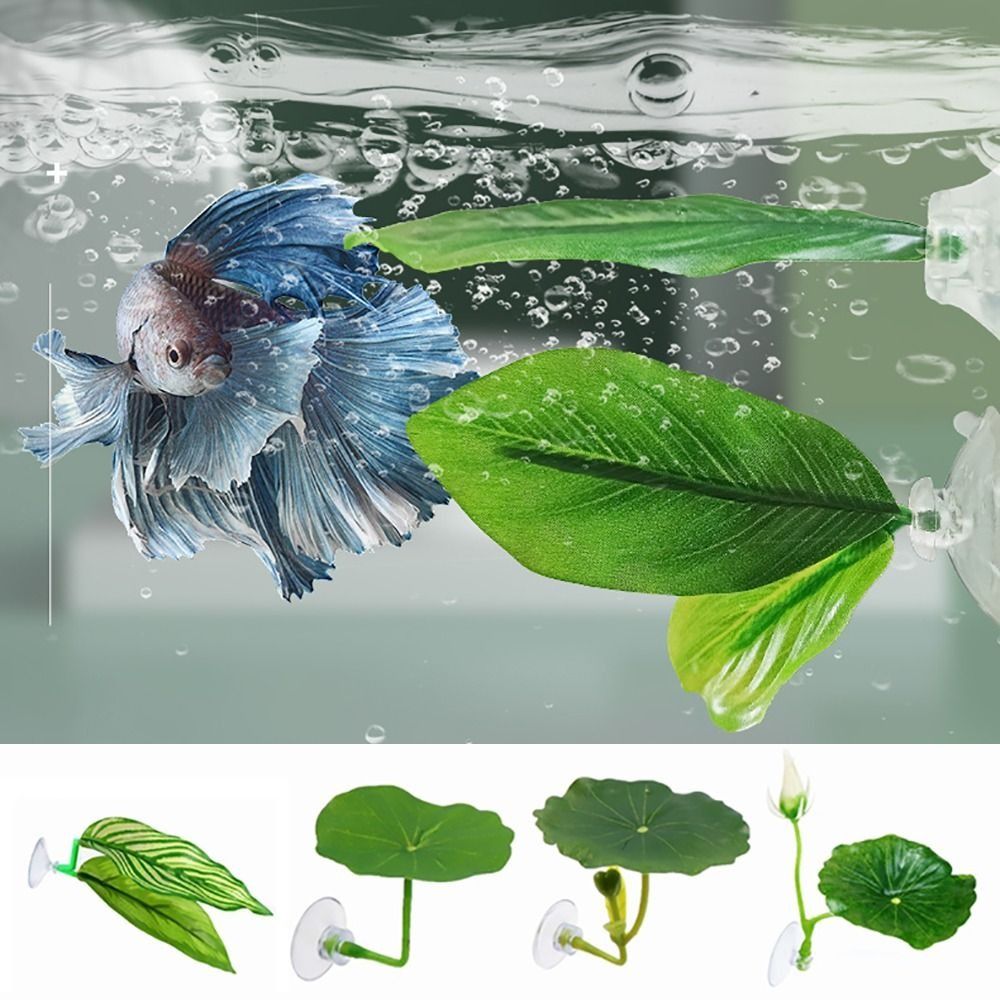 Kunststoff Betta Fisch Rest Bl – Aquarium Plant Growth Bewertung und Preis