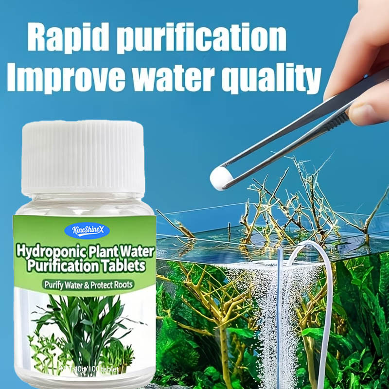 Hydroponische Wasserreinigungs – Planted Aquarium Kit Bewertung und Preis