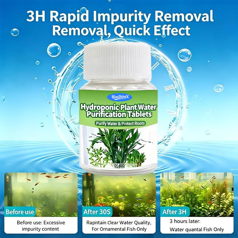 Hydroponische Wasserreinigungs – Planted Aquarium Kit Bewertung und Preis