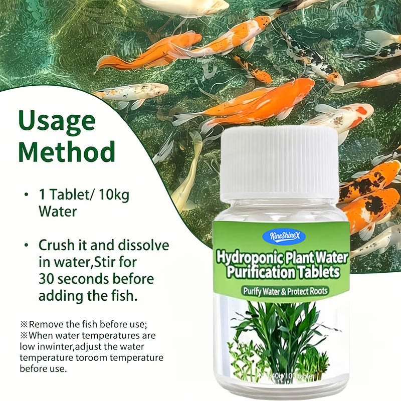 Hydroponische Wasserreinigungs – Planted Aquarium Kit Bewertung und Preis