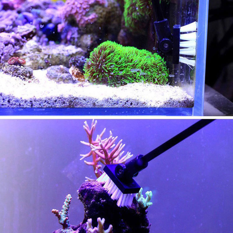 Angeln Reinigung Pinsel Anlage – Planted Aquarium Freshwater Bewertung und Preis