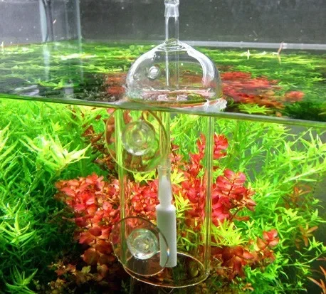 VIV Do Device Aquarium-Zylinde – Planted Aquarium Parameters Bewertung und Preis
