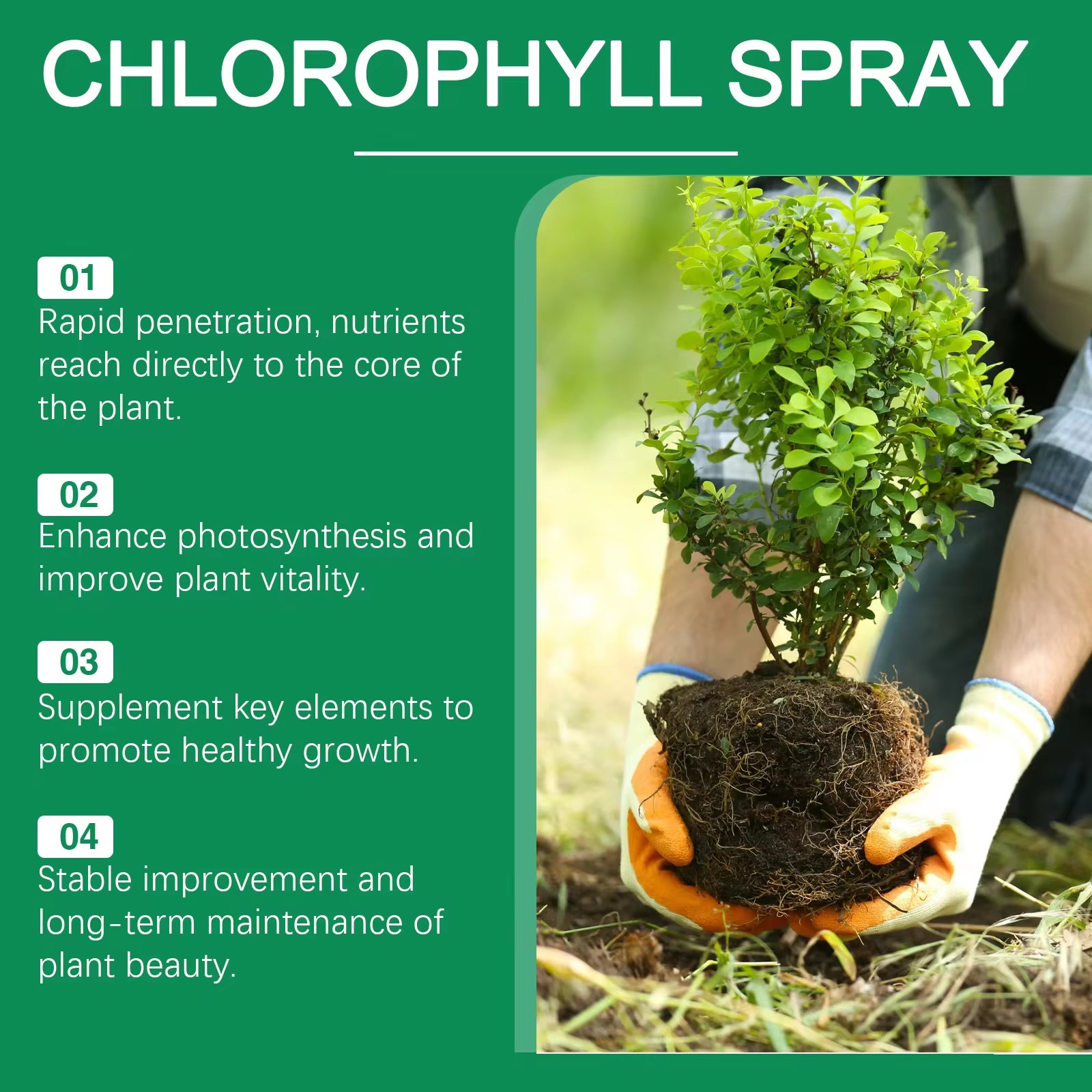 MOONSPRY Sukkulenten-Wurzel-Bo – Aquarium Plant Liquid Fertilizer Bewertung und Preis