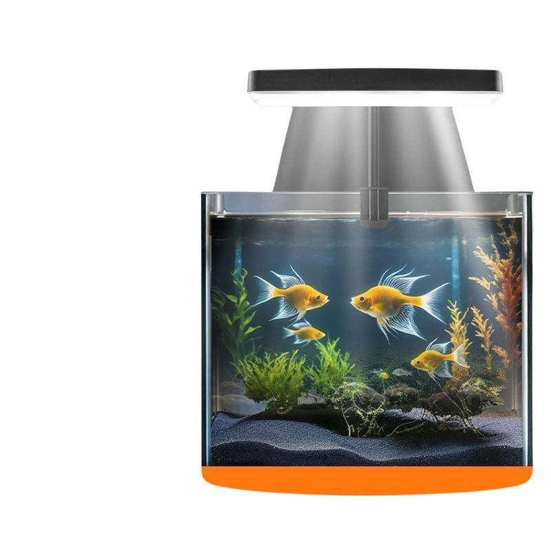 USB-Aquarium-Clipleuchte mit F – Aquarium For Planted Tank Bewertung und Preis