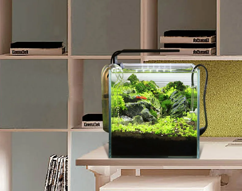 Spirituosen C-Serie ADA-Stil P – Aquarium Plant Growth Bewertung und Preis