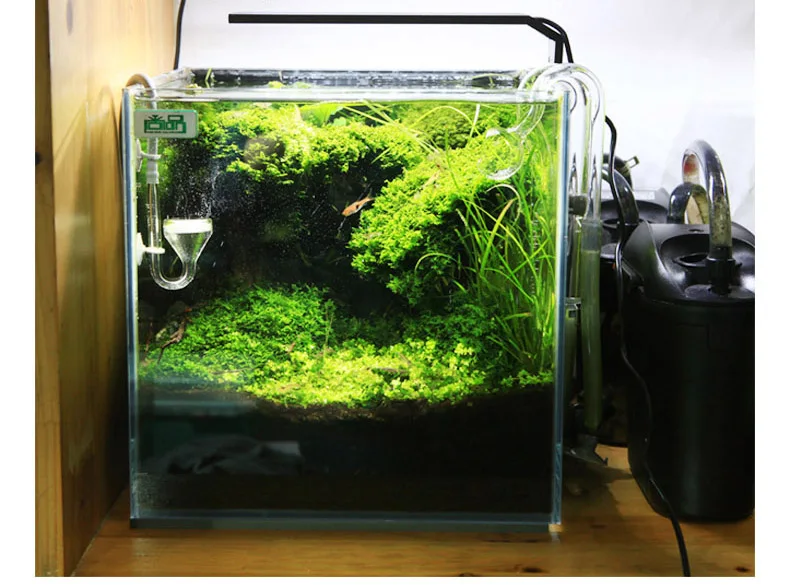 Spirituosen C-Serie ADA-Stil P – Aquarium Plant Growth Bewertung und Preis