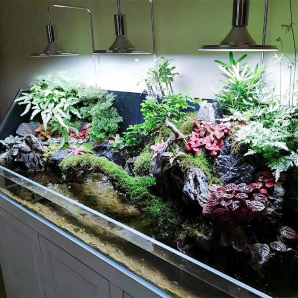 LED-Aquariumbeleuchtung mit Ve – Planted Aquarium Freshwater Bewertung und Preis