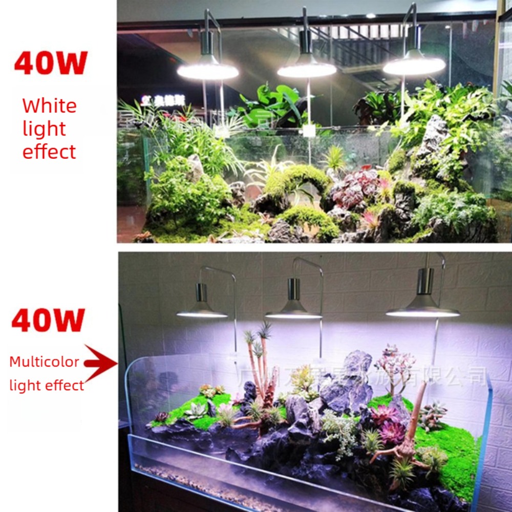 LED-Aquariumbeleuchtung mit Ve – Planted Aquarium Freshwater Bewertung und Preis