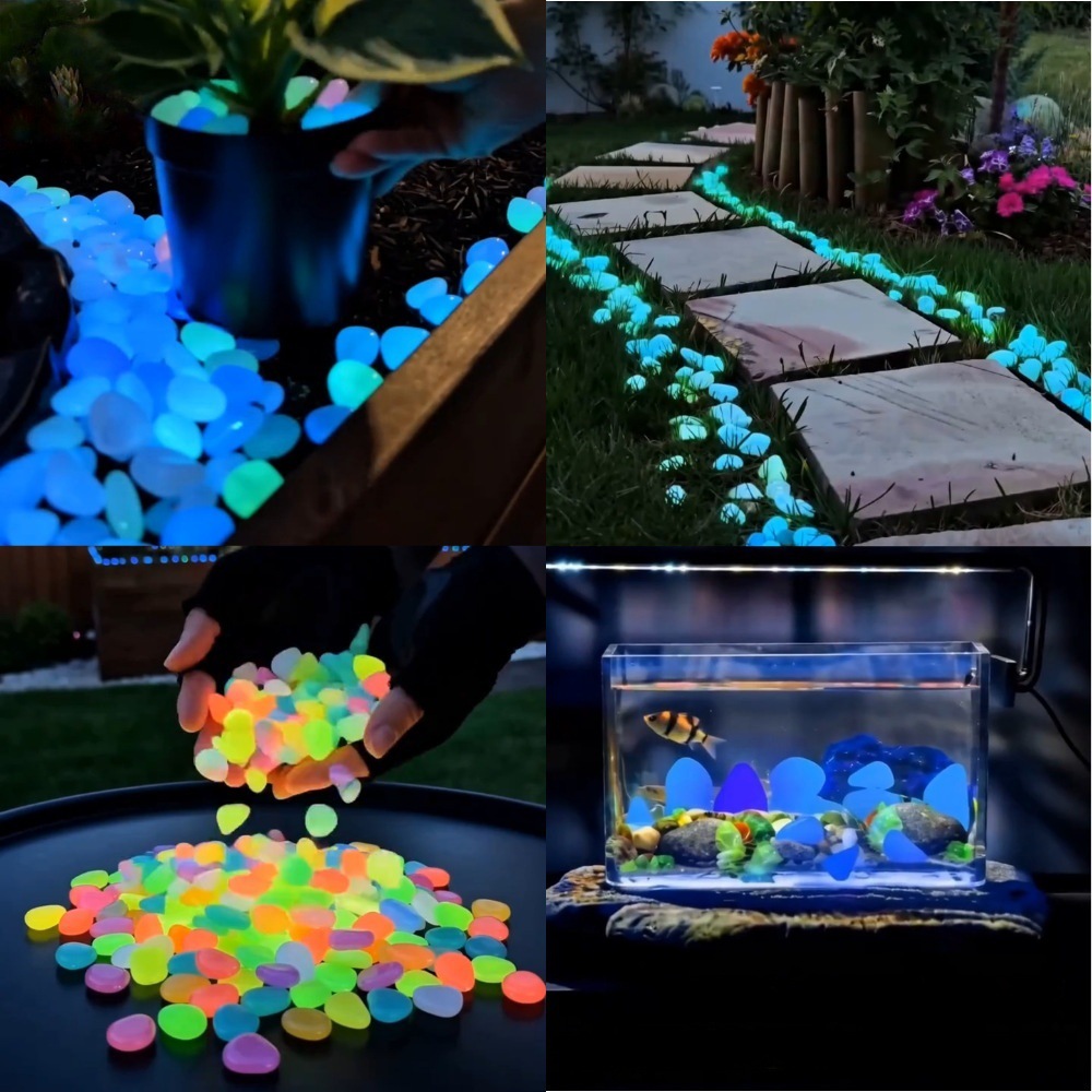Bunte, im Dunkeln leuchtende K – Aquarium For Planted Tank Bewertung und Preis