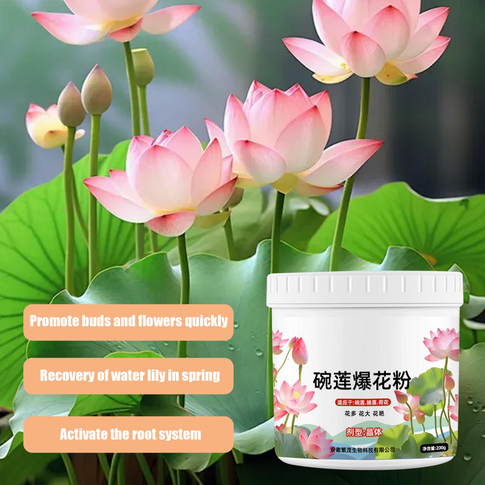 Wasserpflanzenfutter, Seerose, – Aquarium Plant Liquid Fertilizer Bewertung und Preis