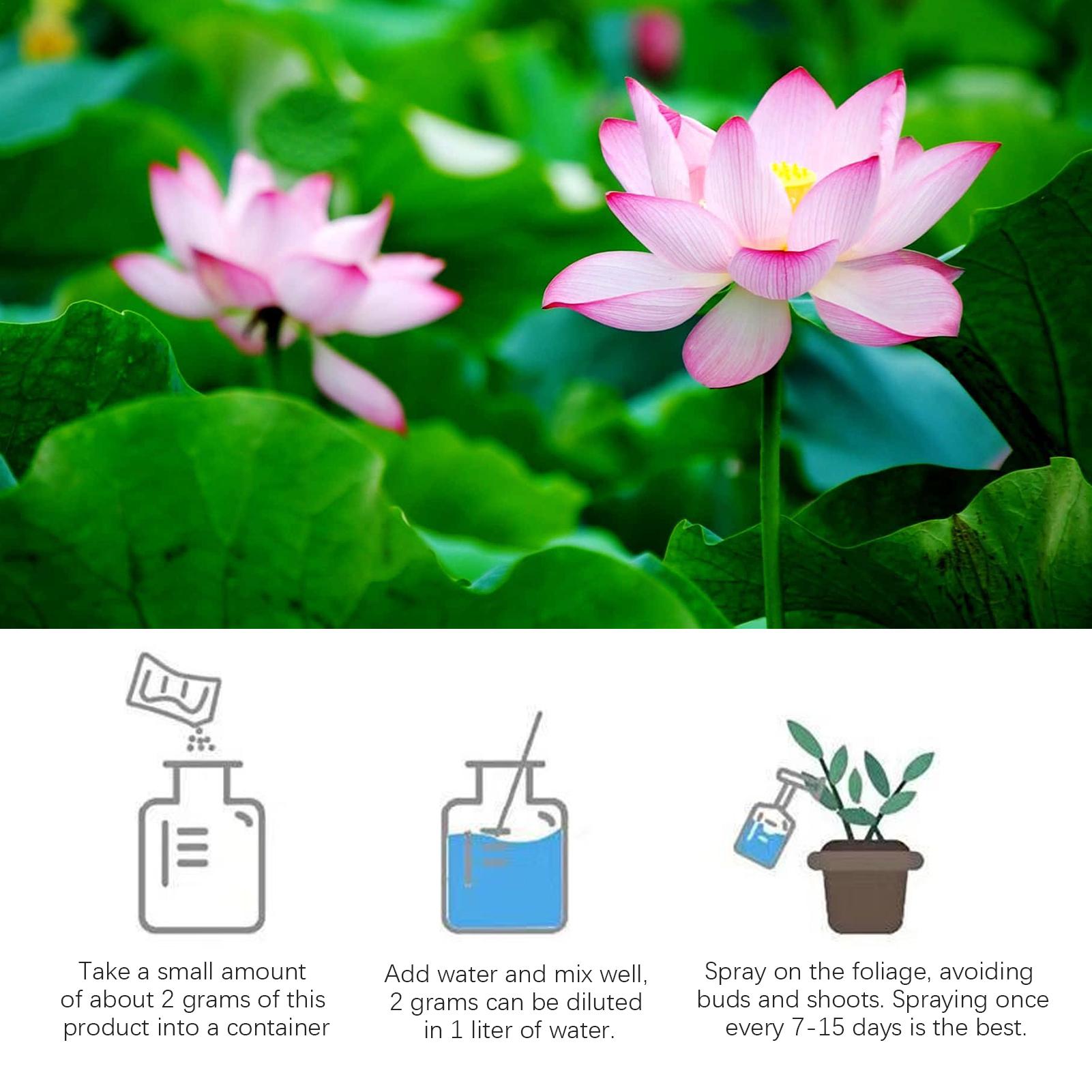 Wasserpflanzenfutter, Seerose, – Aquarium Plant Liquid Fertilizer Bewertung und Preis
