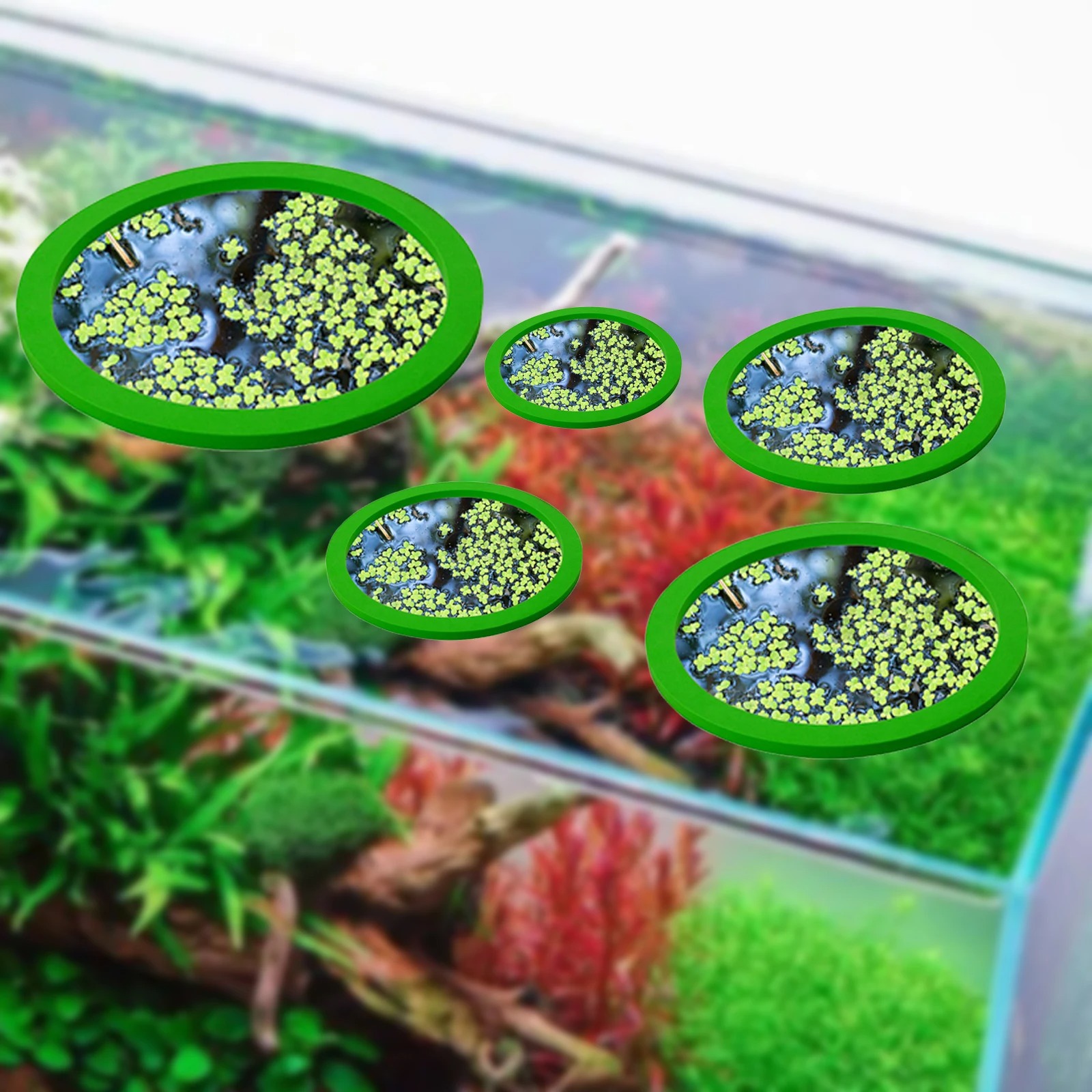 5Pcs EVA Fisch Fütterung Ring  – Aquarium For Planted Tank Bewertung und Preis