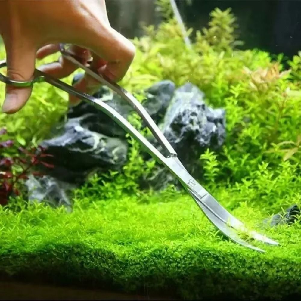 1 Stück Edelstahl-Aquariumsche – Planted Aquarium Cleaning Bewertung und Preis