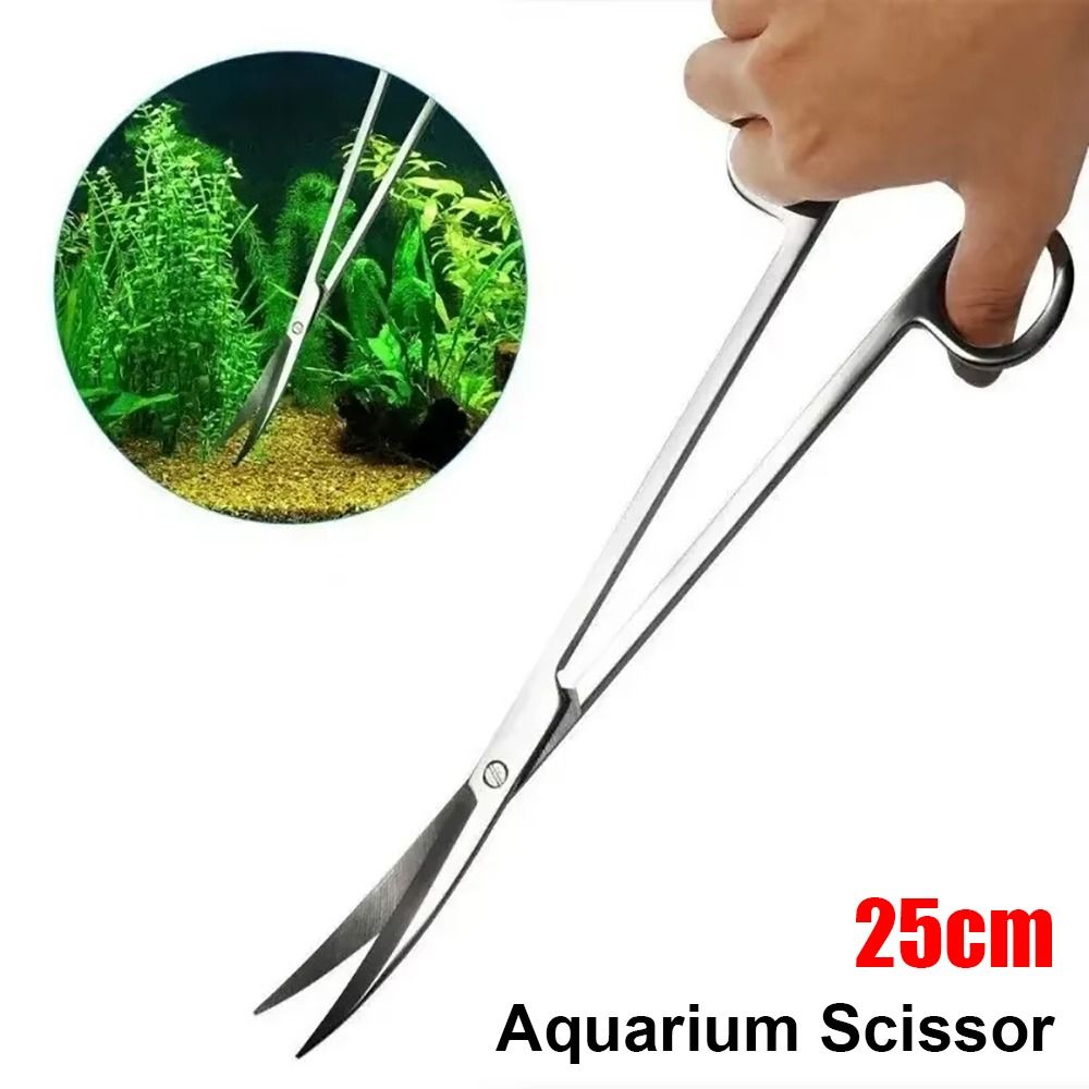 1 Stück Edelstahl-Aquariumsche – Planted Aquarium Cleaning Bewertung und Preis