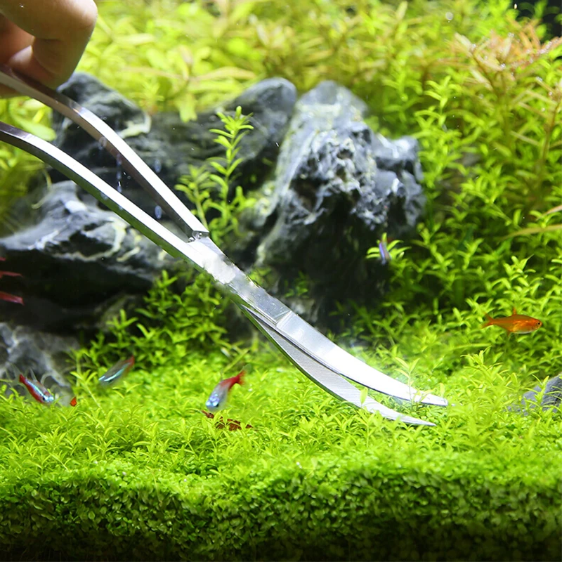 Aquarium Schere Werkzeuge Aqua – Planted Aquarium Cleaning Bewertung und Preis