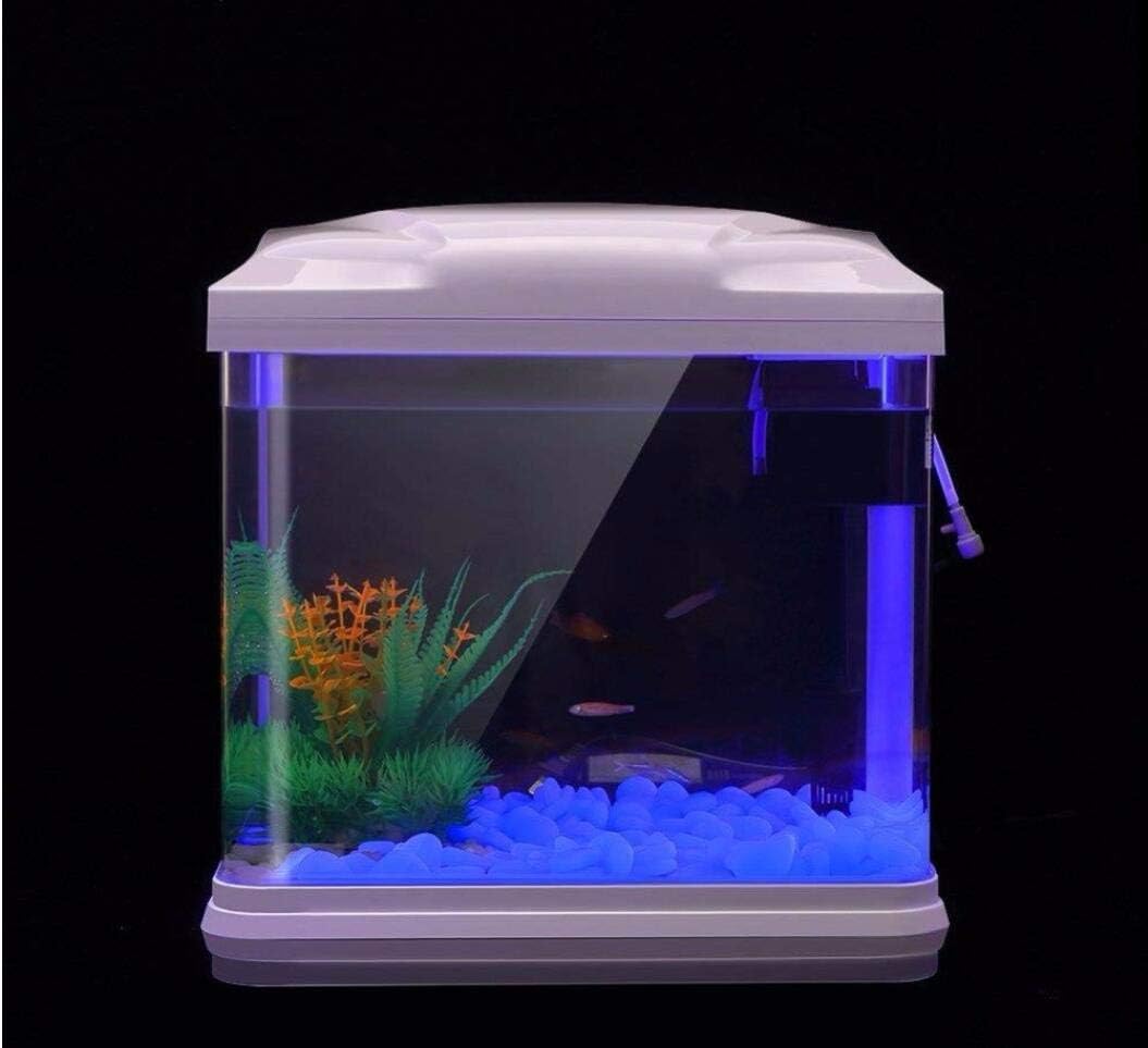 Aquarium-Felsen leuchten blaue – Aquarium For Planted Tank Bewertung und Preis