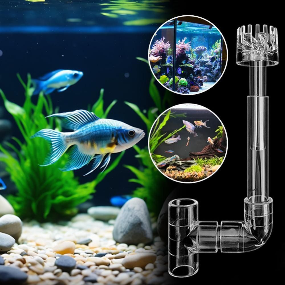 Ein- und Ausflussfilter für Aq – Planted Aquarium Cleaning Bewertung und Preis