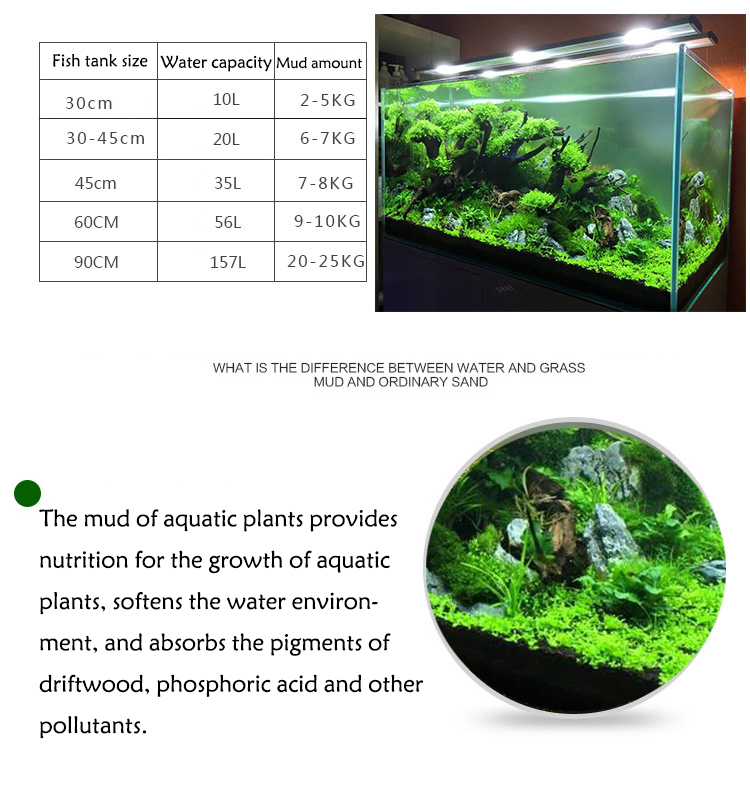 Aquarium Pflanzen Samen Boden  – Planted Aquarium Freshwater Bewertung und Preis