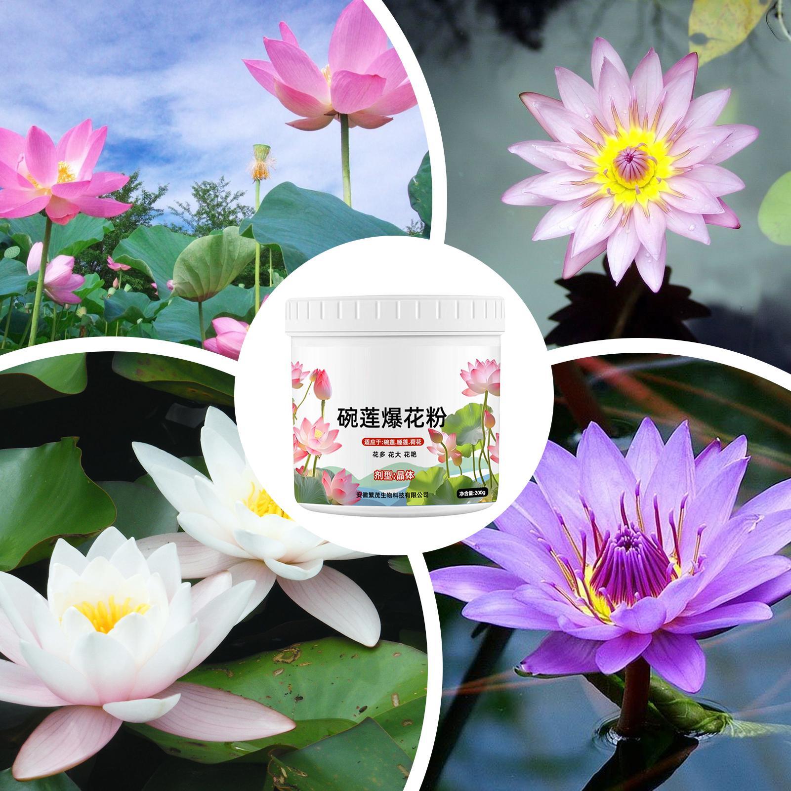 Aquatischer Pflanzendünger für – Aquarium Plant Liquid Fertilizer Bewertung und Preis