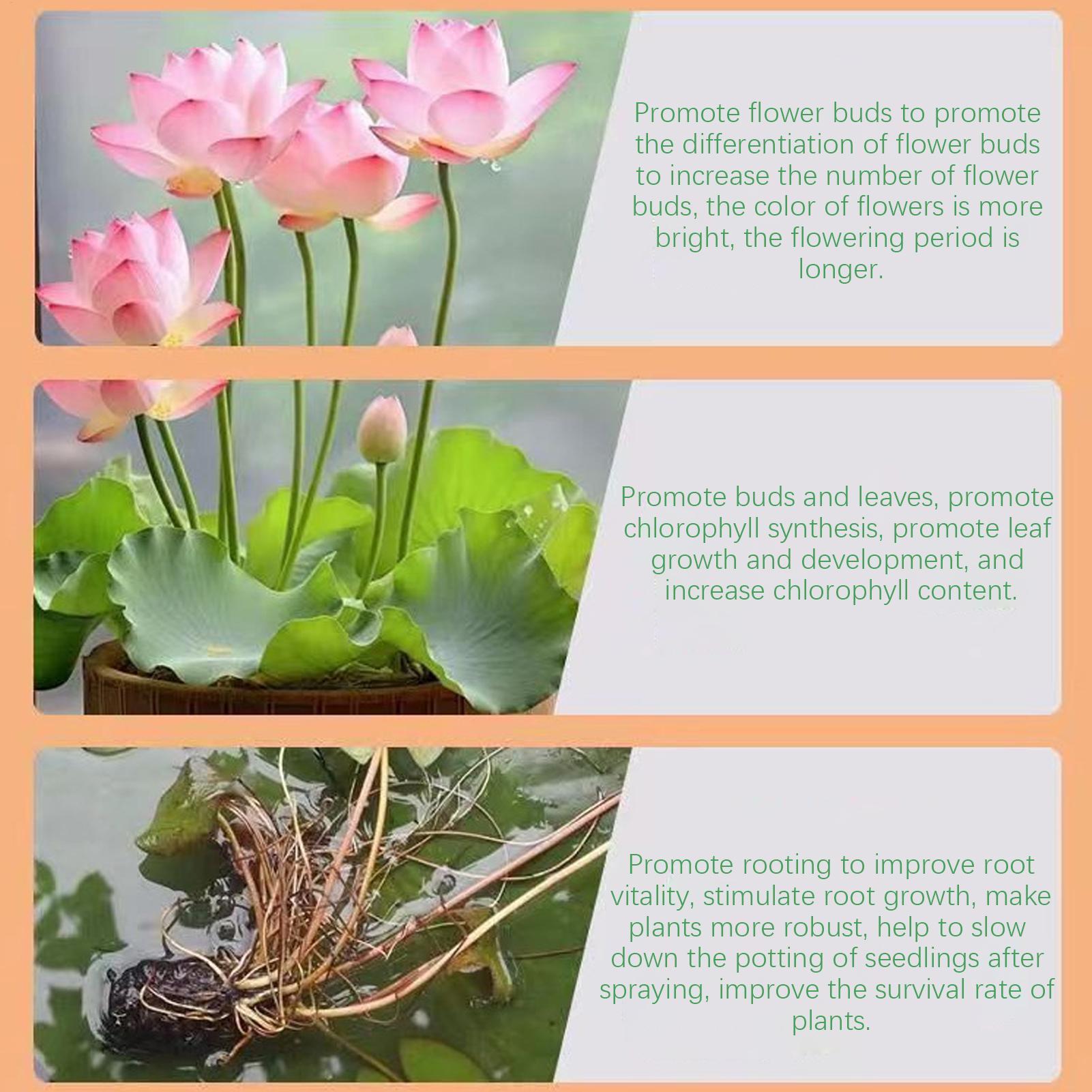 Aquatischer Pflanzendünger für – Aquarium Plant Liquid Fertilizer Bewertung und Preis