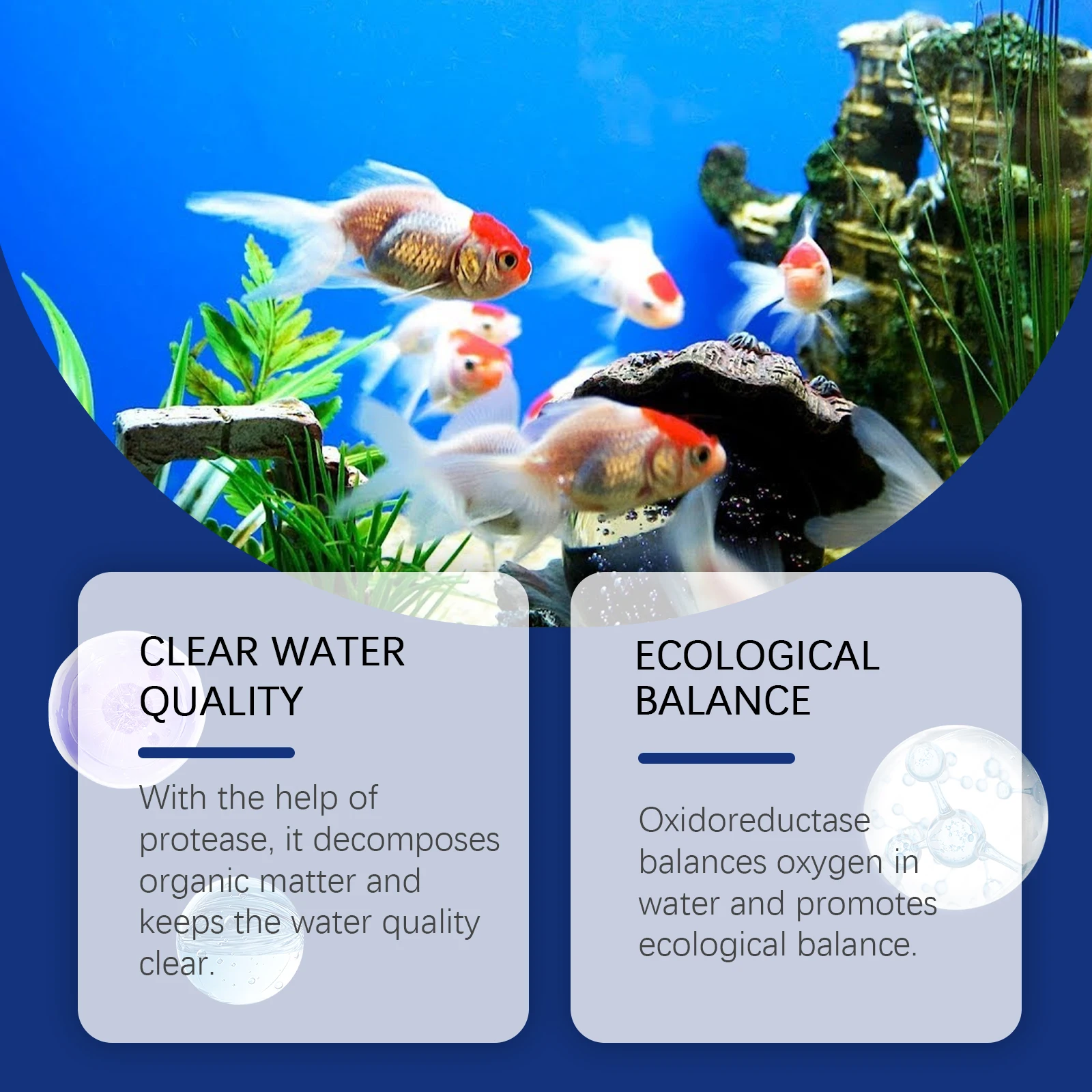 Aquarium-Wasserkleinerer, Aqua – Aquarium Plant Liquid Fertilizer Bewertung und Preis