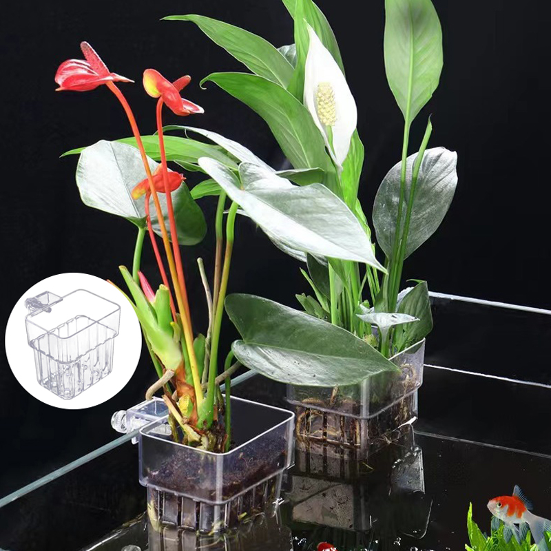 Multifunktion ale Fisch Aquari – Aquarium For Planted Tank Bewertung und Preis