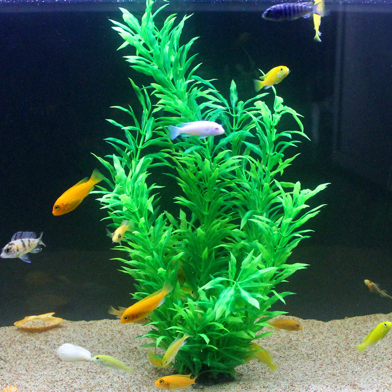 50CM Künstliche Aquarium Selte – Planted Aquarium Parameters Bewertung und Preis
