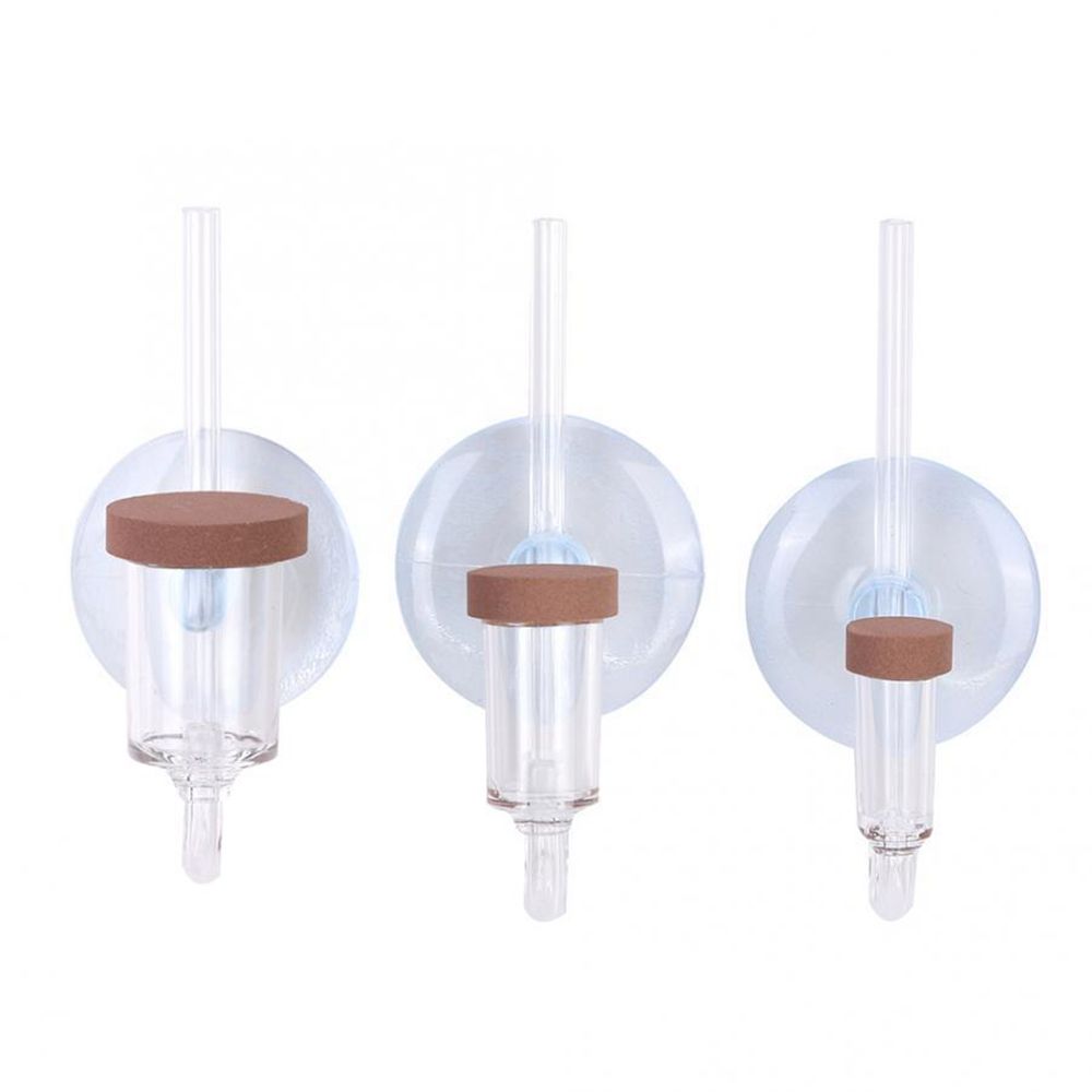 Acryl Mini Aquarium Live Pflan – Planted Aquarium Parameters Bewertung und Preis