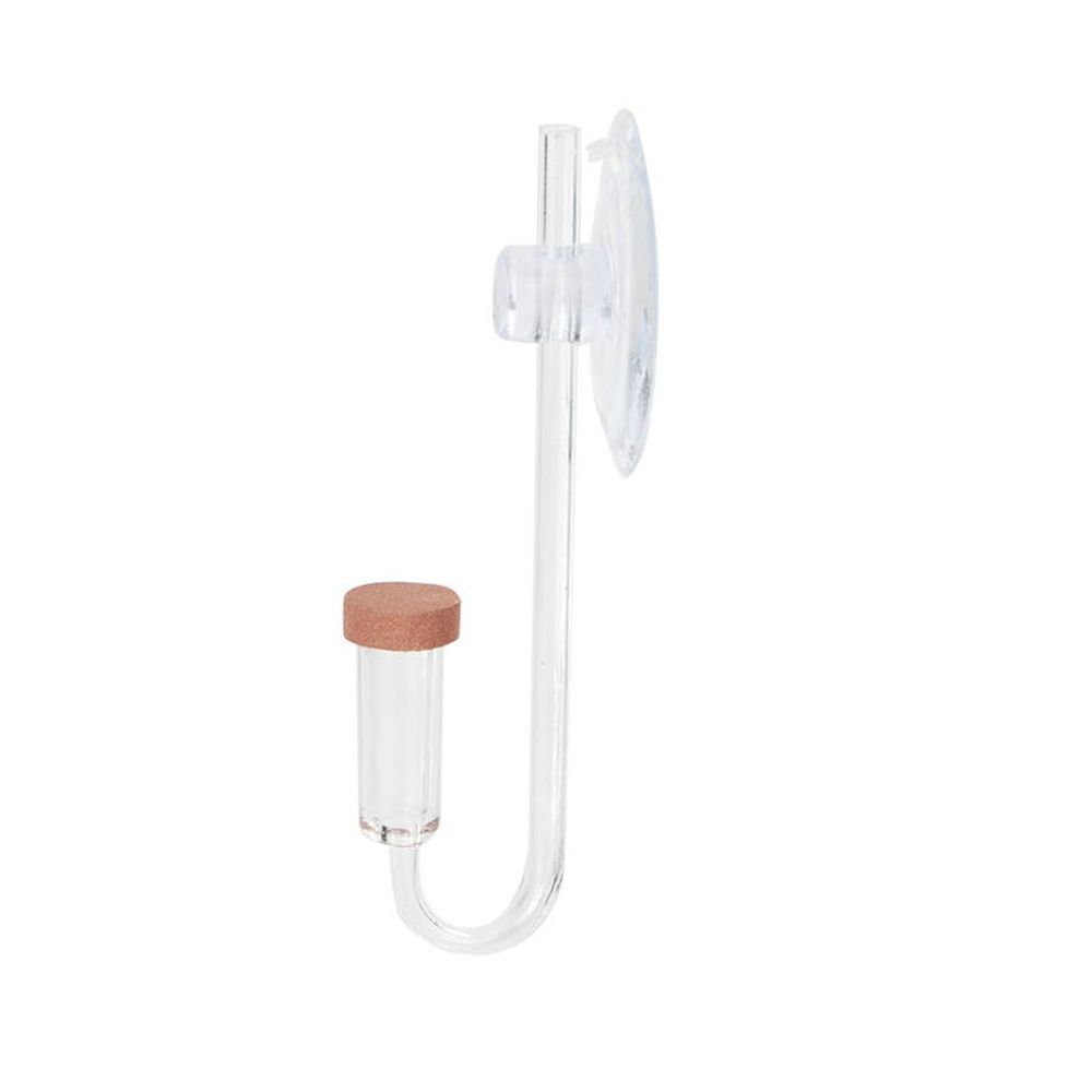 Acryl Mini Aquarium Live Pflan – Planted Aquarium Parameters Bewertung und Preis