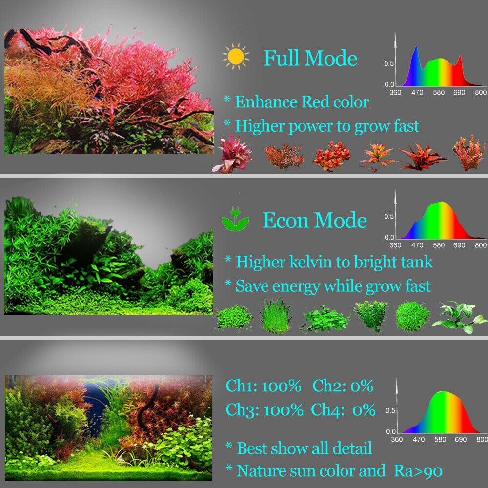 Pop bloom-Timer Aquarium LED-B – Planted Aquarium Freshwater Bewertung und Preis