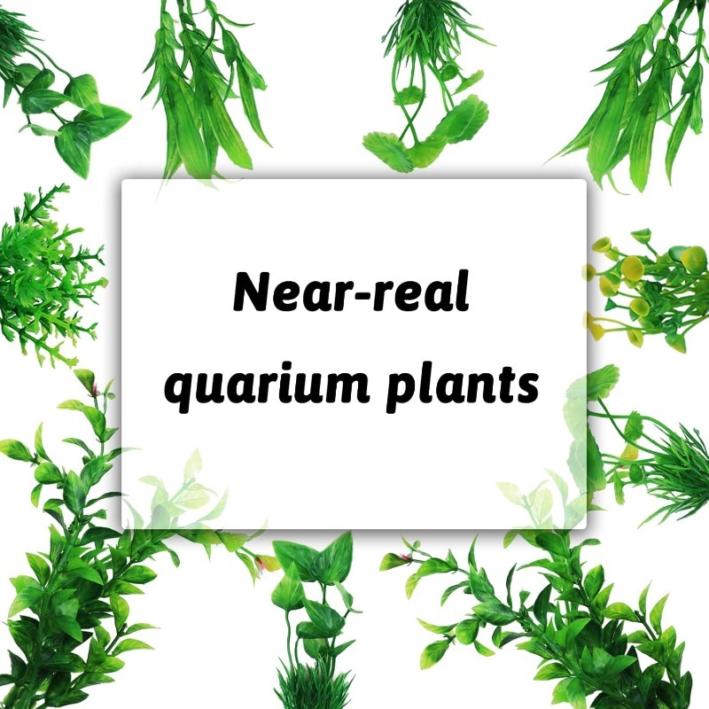 10/20 Stück Künstliche Aquarie – Aquarium For Planted Tank Bewertung und Preis