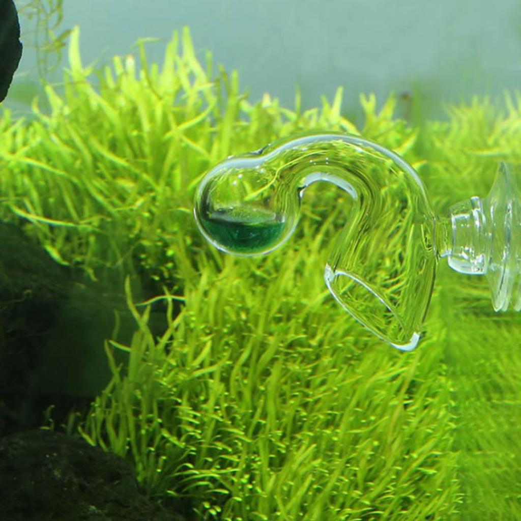 Aquarium CO2-Monitor Glas-Trop – Glass Co2 Drop Checker Bewertung und Preis