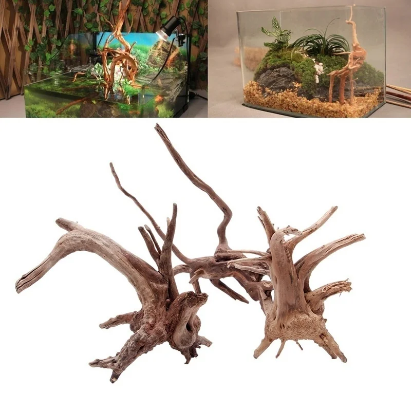 Natürliche Baum Stamm Treibhol – Planted Aquarium Making Bewertung und Preis
