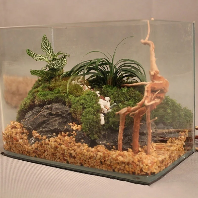 Natürliche Baum Stamm Treibhol – Planted Aquarium Making Bewertung und Preis